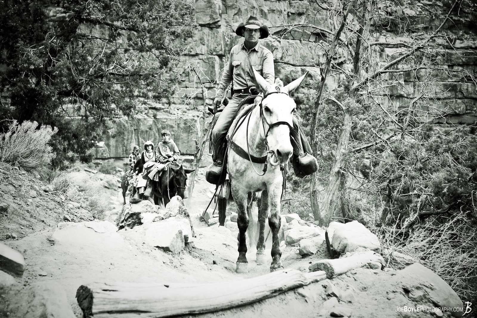  As I was hiking down Bright Angel Trail there were a few Mule Rides on the ascent - this was one of them. 