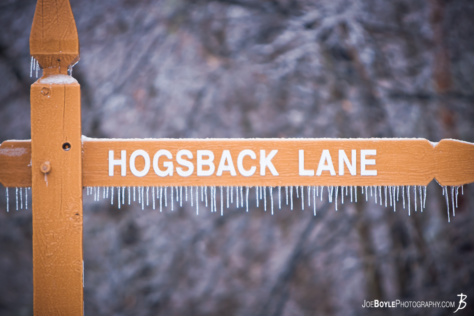  I captured this photo after an ice storm came through the Cleveland area. The storm provided some great picture opportunities that I was able to capture the following day including this sign of "Hogsback Lane" located in the Rocky River Metroparks! 