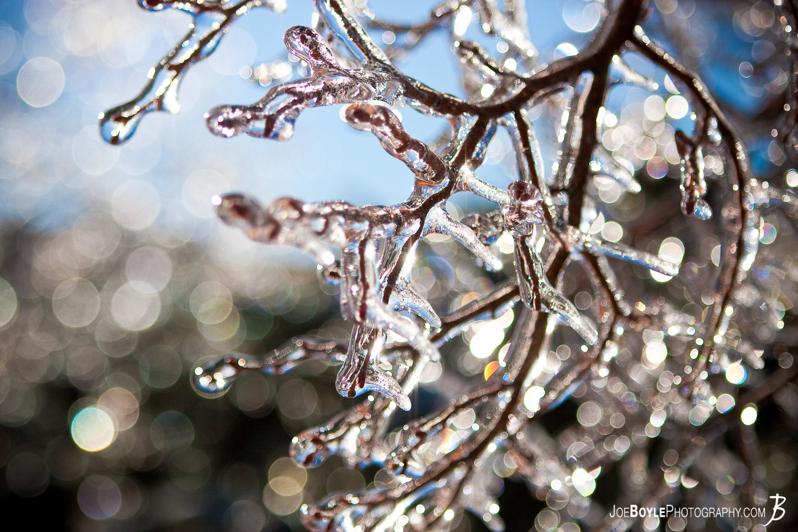  I captured this photo after an ice storm came through the Cleveland area. The storm provided some great picture opportunities that I was able to capture the following day including these tree branches coated in ice! 