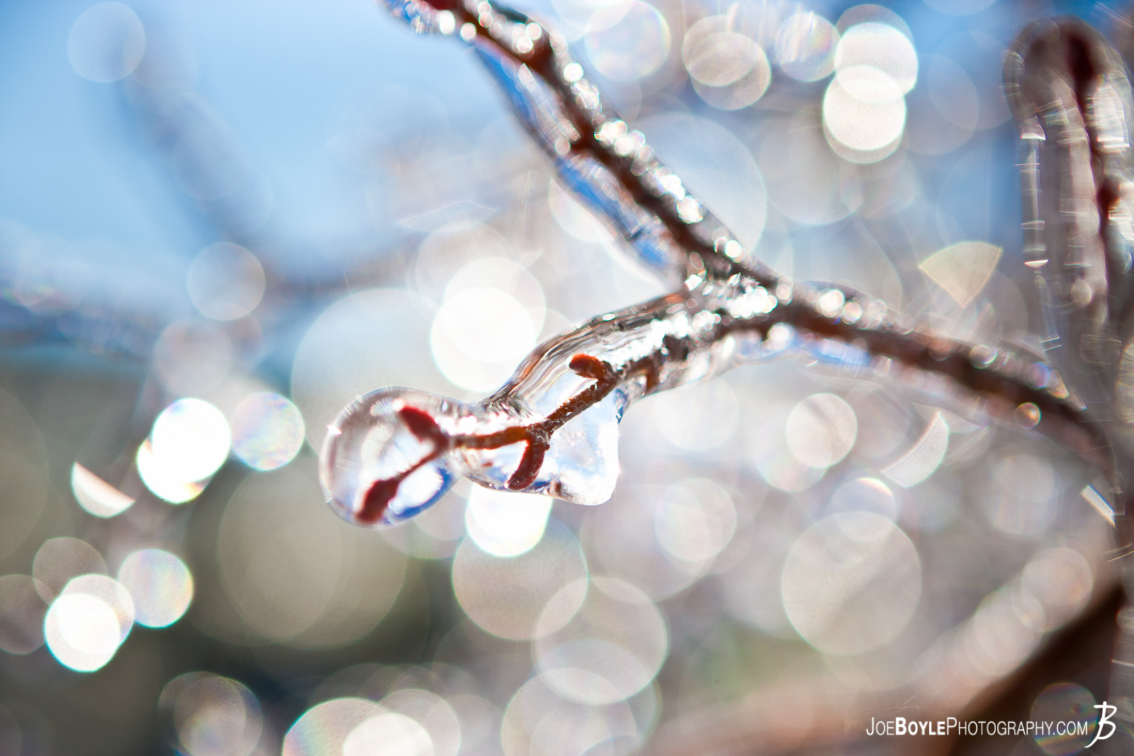  I captured this photo after an ice storm came through the Cleveland area. The storm provided some great picture opportunities that I was able to capture the following day including this tree branch coated in ice! 