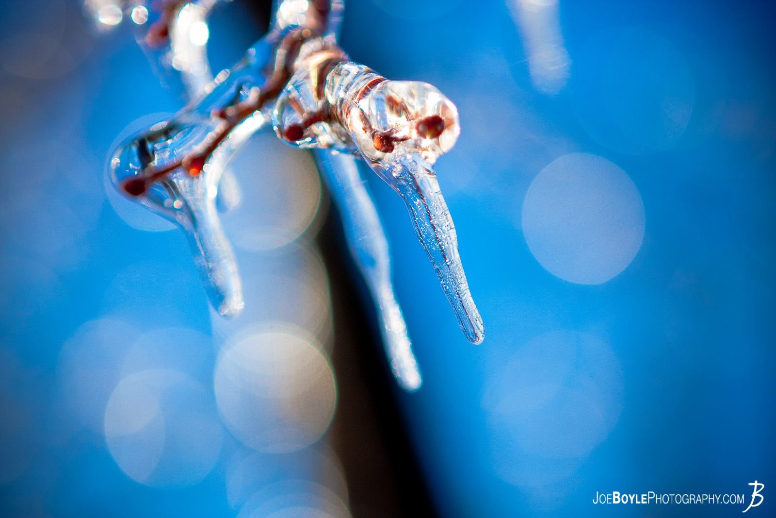  I captured this photo after an ice storm came through the Cleveland area. The storm provided some great picture opportunities that I was able to capture the following day including this icicle clinging to dear life on the tree branch! 