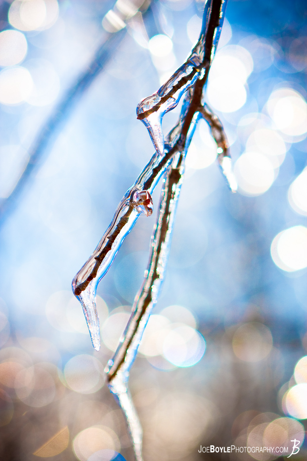 I captured this photo after an ice storm came through the Cleveland area. The storm provided some great picture opportunities that I was able to capture the following day including these ice coated branches! 