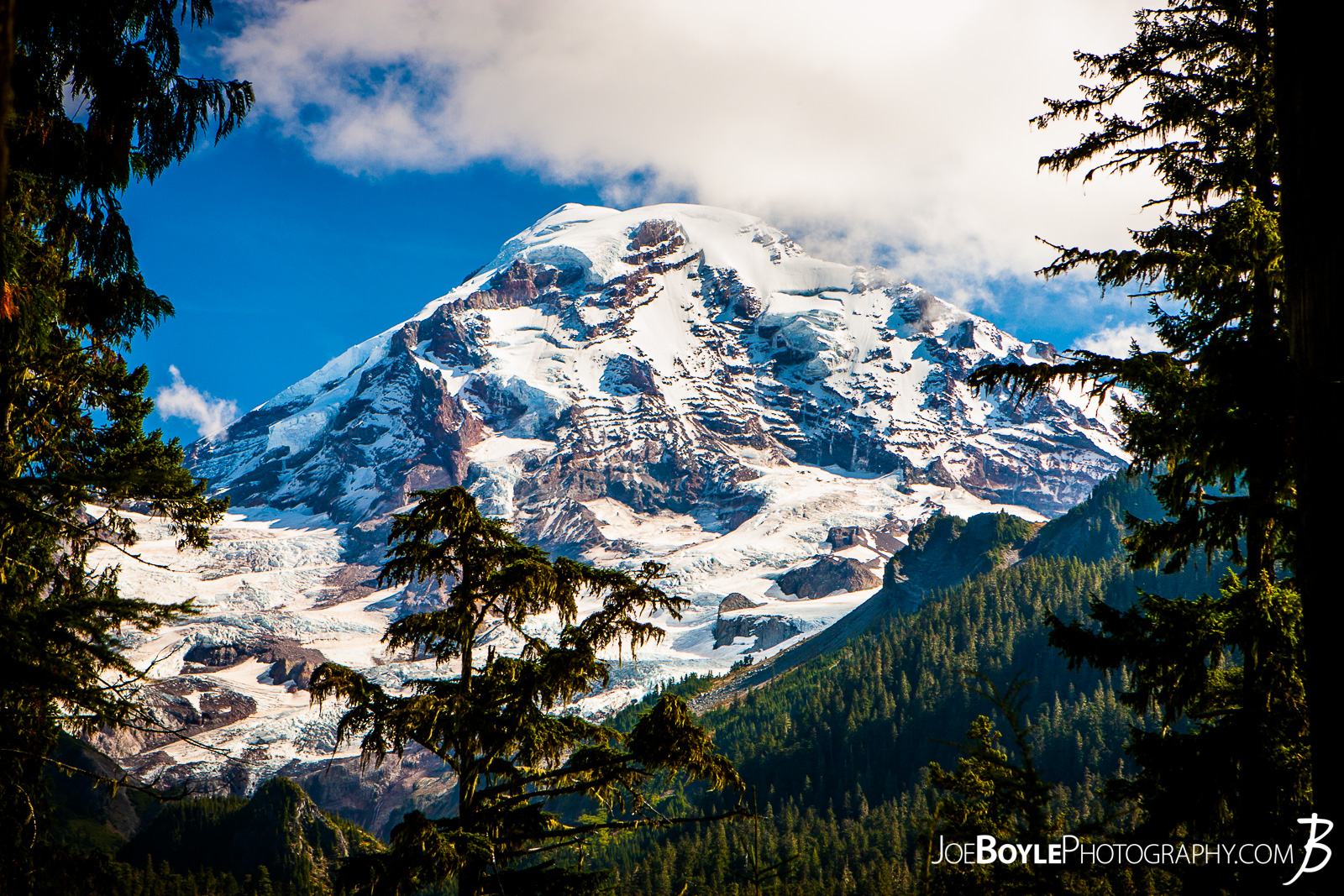  A view of Mount Rainier on our way to the Mowich River Campground. I love how the opening in the trees allowed for such a beautiful view! 