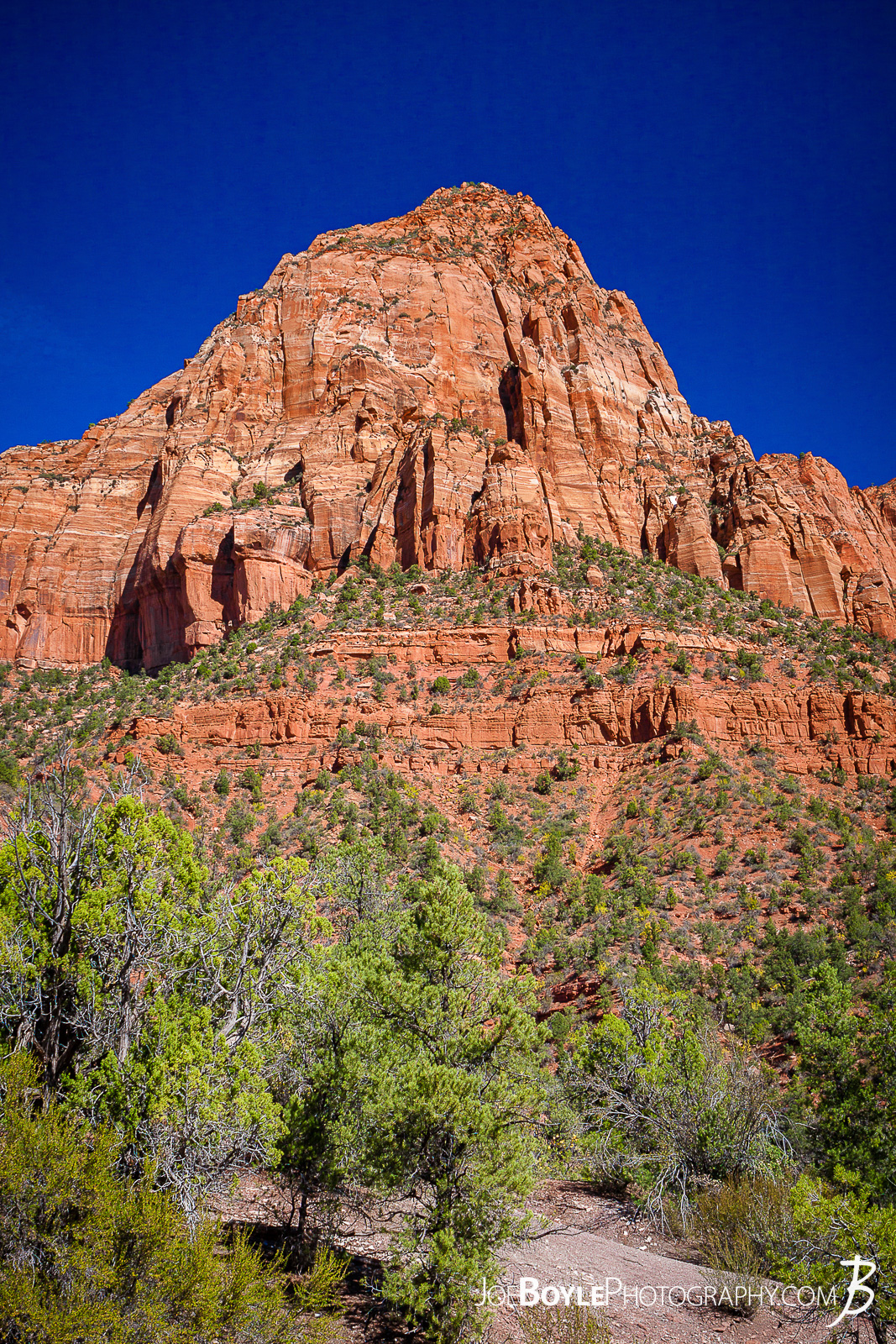  This is a photo near the start of the trailhead for the Kolob Canyon Trail in Zion National Park. The trail was a beautiful and pleasant 14 mile round trip. My hiking buddy Caleb and I hiked it together and saw the Koleb Arch near the half way point. Interestingly, I noticed the terrain changed quite a bit as we descened. It started off as I expected,... rocky. Their were large sections, however that were quite sandy. That slowed us down a little bit, but not too much. I just didn't expect it! Here are some links to more articles and and hiking info about the Koleb Canyon Trail, Koleb Arch, other hiking trails in Zion National Park and a Map of Zion National Park. 