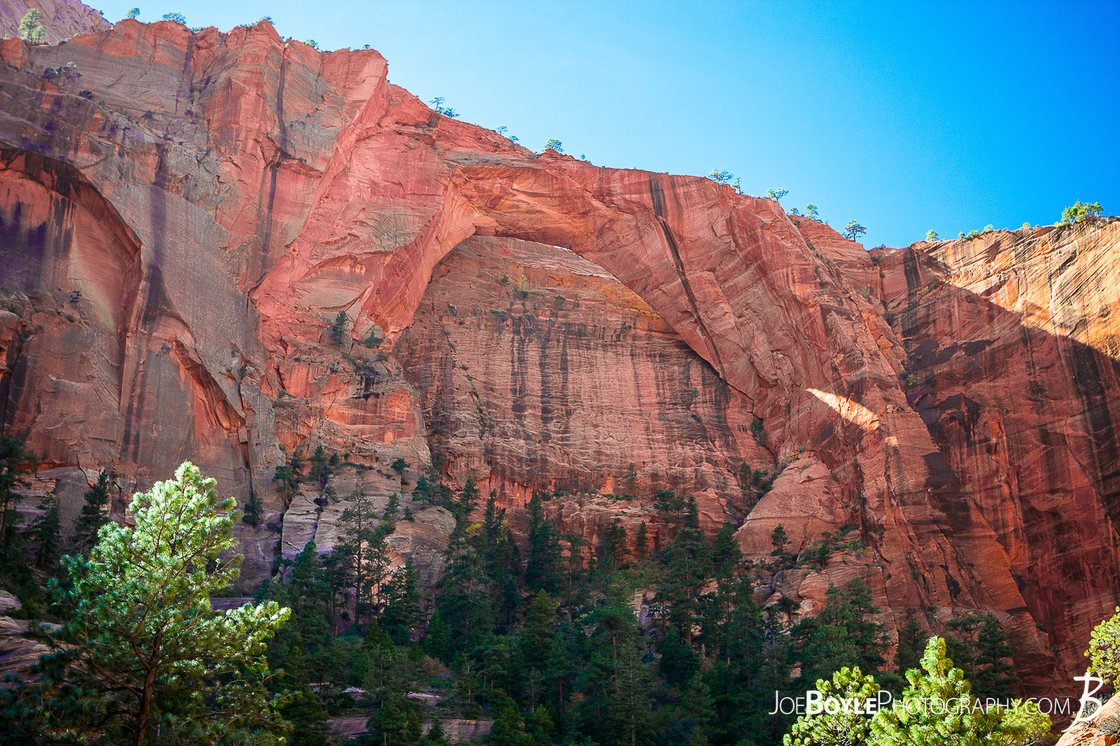  This is a photo of the Kolob Arch near the turn around point on the Kolob Canyon Trail in Zion National Park. The trail was a beautiful and pleasant 14 mile round trip. My hiking buddy Caleb and I hiked it together and saw the Koleb Arch near the half way point. Interestingly, I noticed the terrain changed quite a bit as we descened. It started off as I expected,... rocky. Their were large sections, however that were quite sandy. That slowed us down a little bit, but not too much. I just didn't expect it! Here are some links to more articles and and hiking info about the Koleb Canyon Trail, Koleb Arch, other hiking trails in Zion National Park and a Map of Zion National Park. 