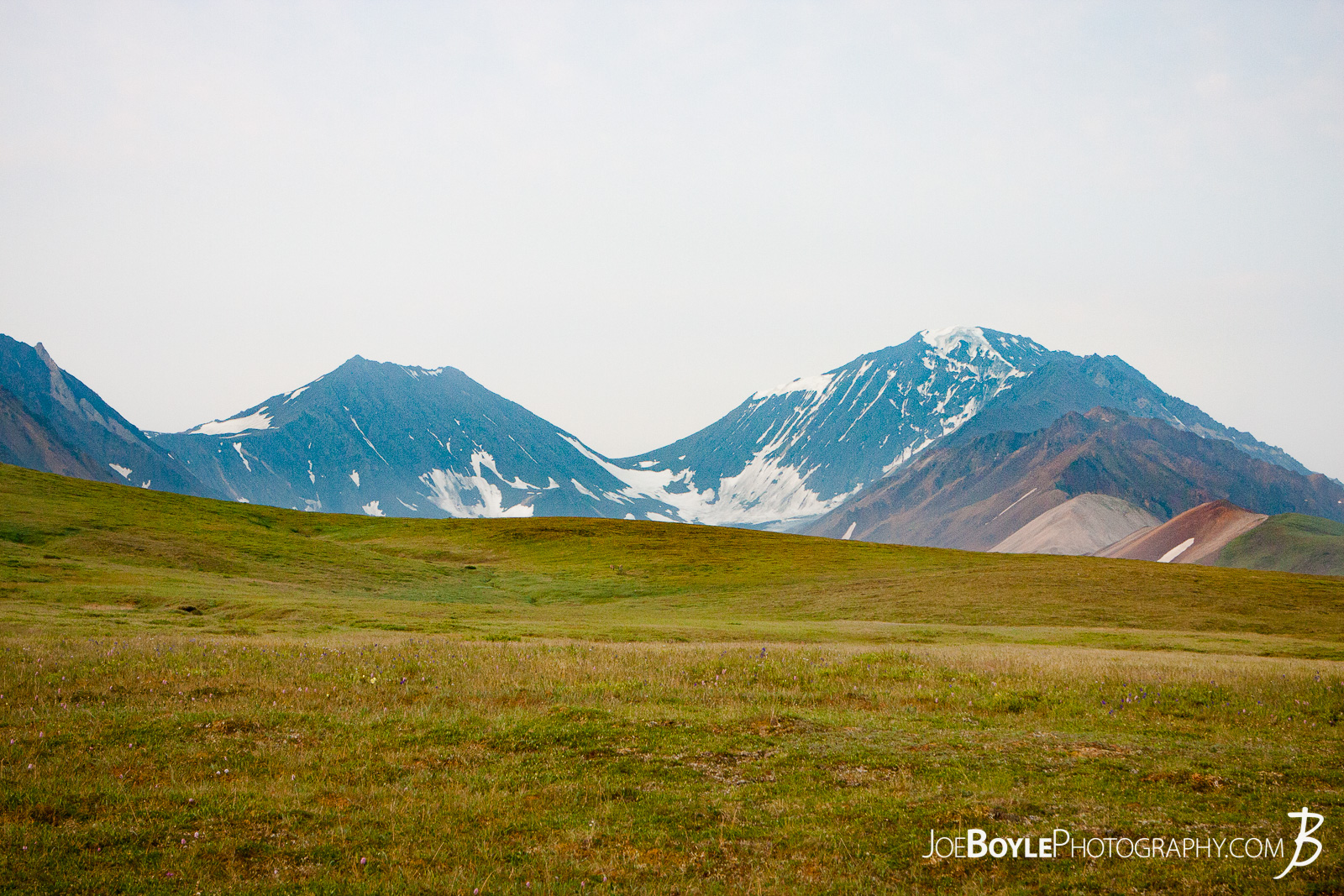  This was the first grid or unit that my buddy and I hiked in upon our arrival in Denali National Park. The views were beautiful but the terrain was TOUGH to walk through! 