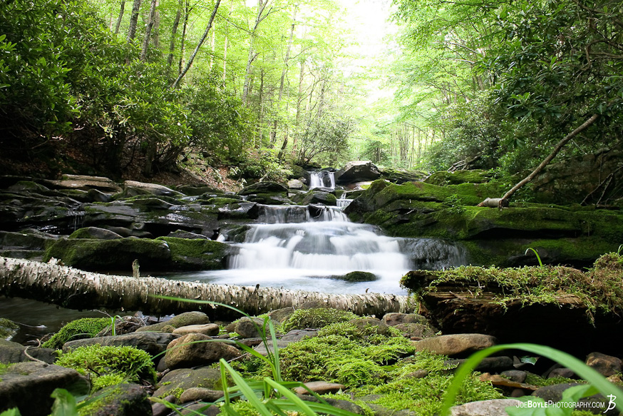 This image was taken during a backpacking trip in Virginia.