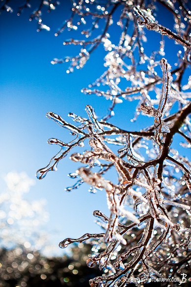 I captured this photo of these tree branches coated in ice on the backdrop of a beautiful blue sky after an ice storm came through the Cleveland area.