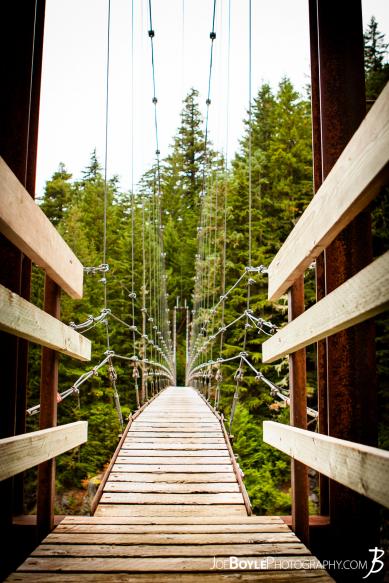 A photo of the neat looking Carbon River Suspension Bridge on the Wonderland Trail.