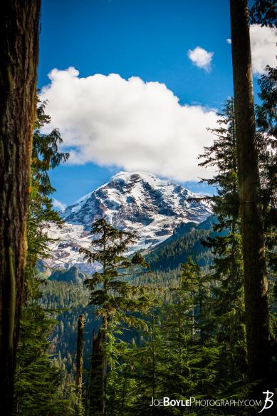 A view of Mount Rainier on our way to the Mowich River Campground. I love how the opening in the trees allowed for such a beautiful view!