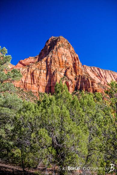 This is a photo near the start of the trailhead for the Kolob Canyon Trail in Zion National Park.