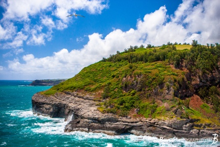 hawaii-coastline-blue-water-green-grass