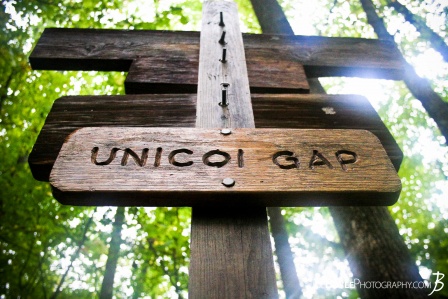unicoi-gap-on-the-appalachian-trail
