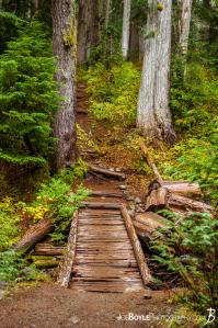 foot-trail-bridge-on-the-wonderland-trail