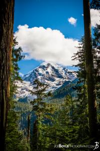 mount-rainer-between-mowich-lake-and-mowich-river-portrait