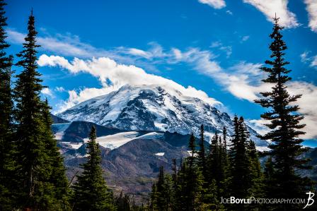 mount-rainier-from-spray-park-trail-with-trees