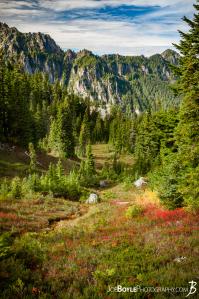 spray-park-trail-on-the-descent-to-carbon-river-campground-portrait