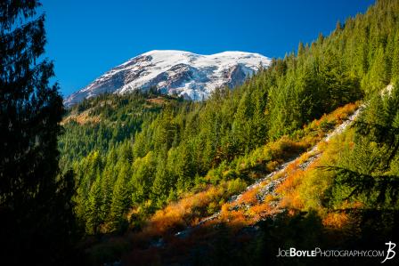 mount-rainier-on-the-wonderland-trail-en-route-to-paradise-river-campground