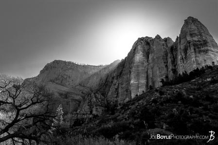 canyon-and-pillars-on-the-kolob-canyon-trail-black-white