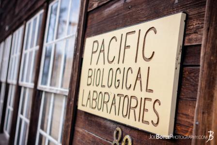 sign-of-pacific-biological-laboratories-cannery-row-monterey-california