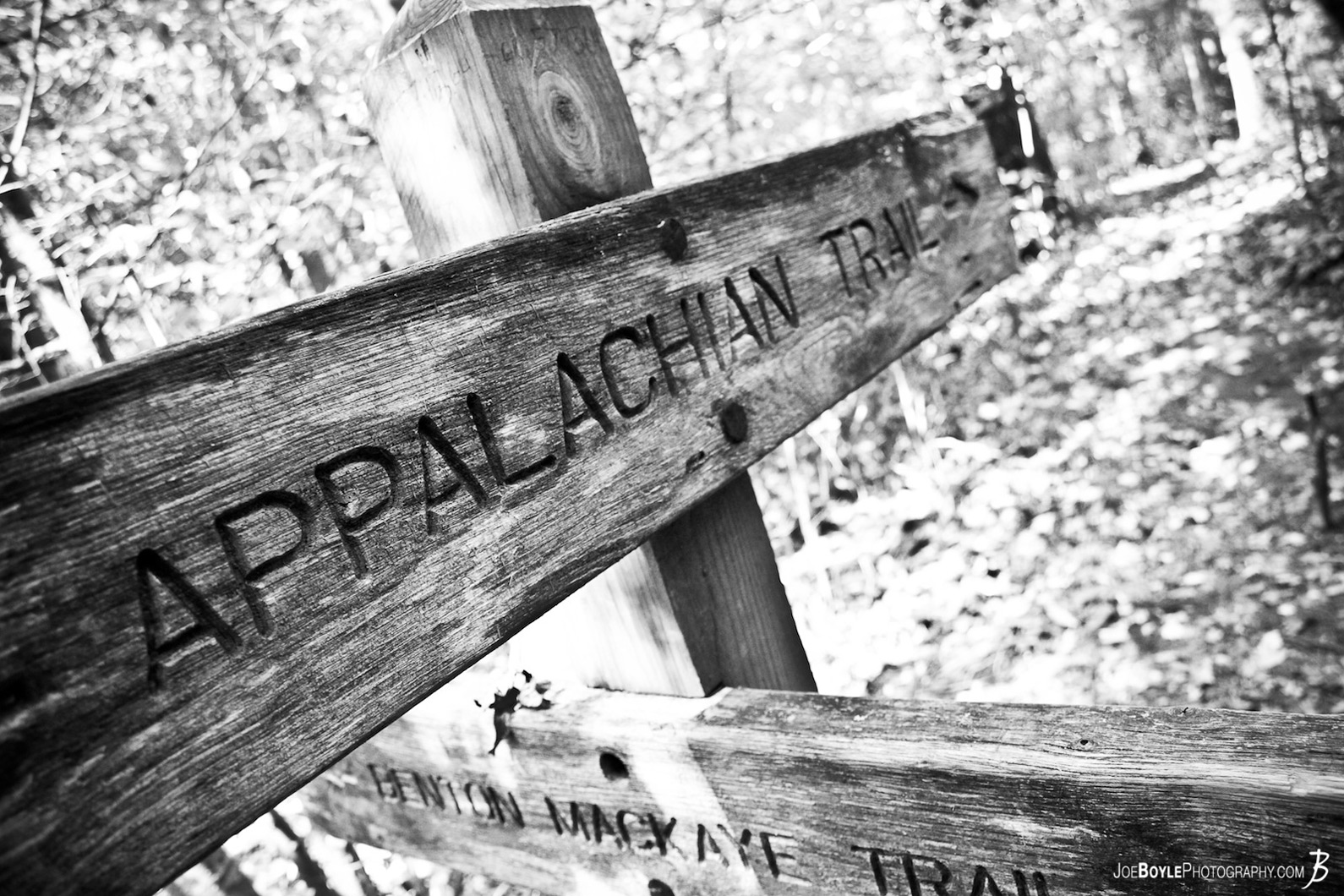 This is one of the first signs on the Appalachian Trail near Springer Mountain.