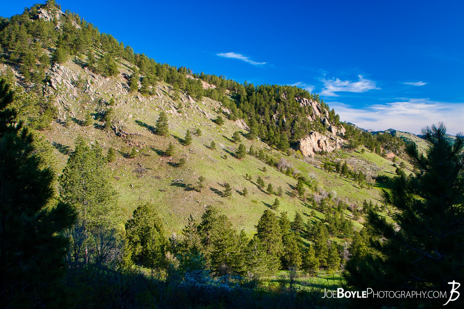 flat-irons-and-green-field-in-boulder-colorado-chautauqua-state-park