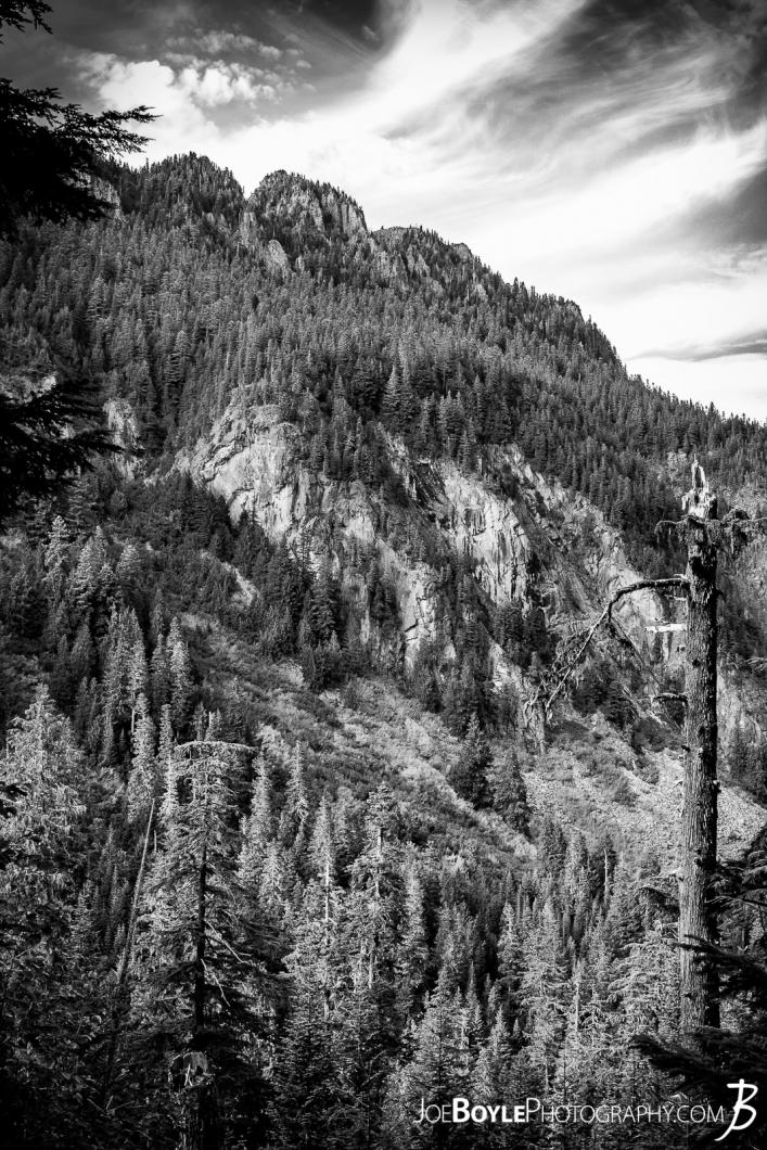landscape-near-fay-peak-wonderland-trail-black-white