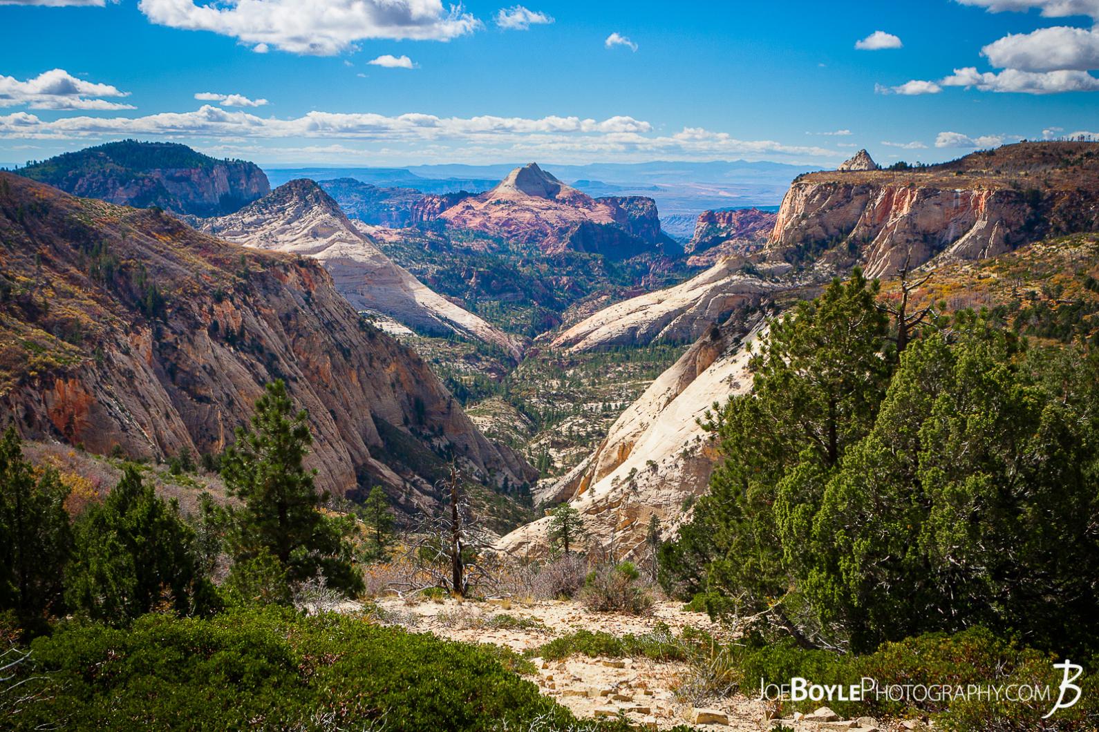 canyons-valleys-trees-in-zion-national-park