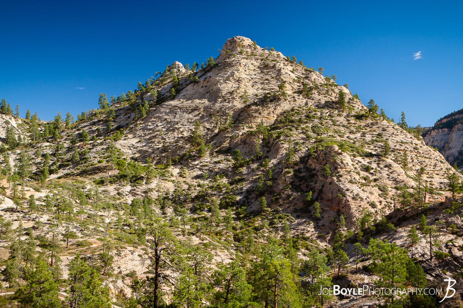 mountain-with-trees-on-the-west-rim-trail-in-zion-national-park