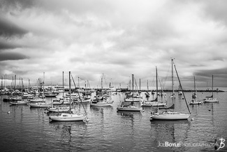 Sailboats in Monterey Bay, California