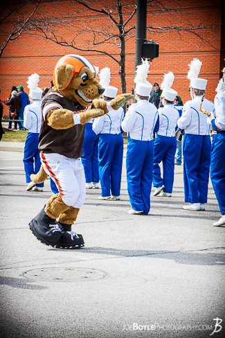blog browns football dog mascot st patrick parade cleveland ohio.jpg